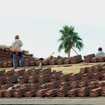 Two workers on a roof installing clay tiles, with a palm tree visible in the background.